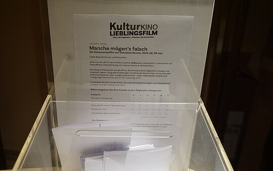 KulturKINO - Manche mögen's falsch - Foto: Aleyna Kalayci