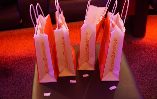 KulturKINO - Manche mögen's falsch - Foto: Grit Kümmele