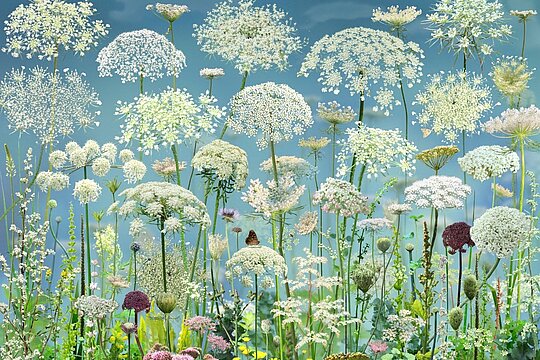RUUD VAN EMPEL, Floresta #14, 2024 @Camera Work